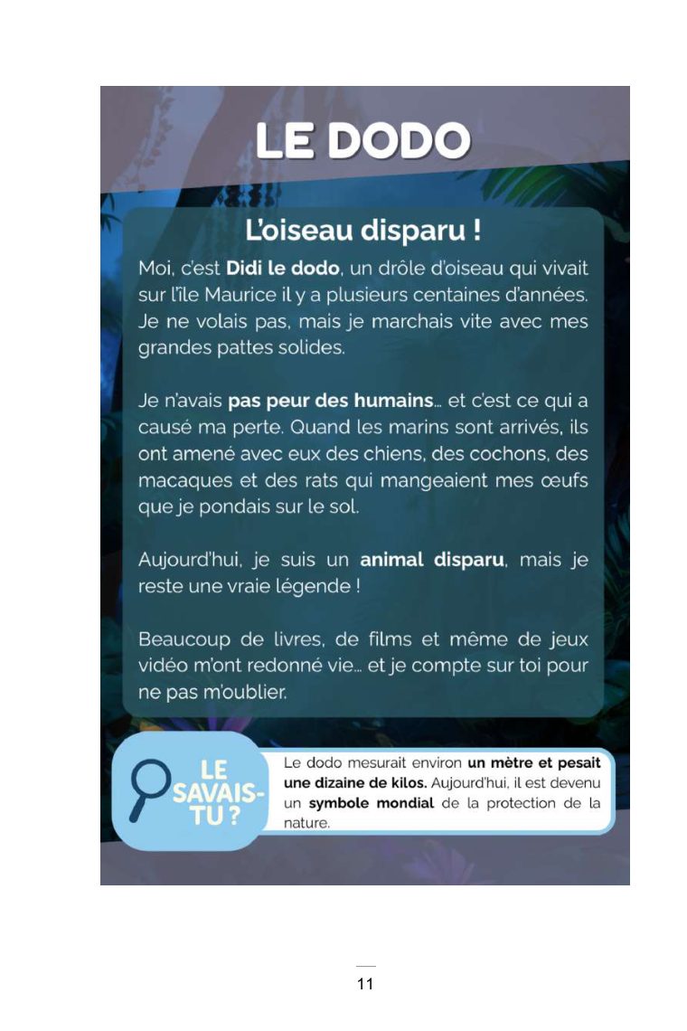 Mon Livre Animé des Animaux Rigolos — page intérieure 2