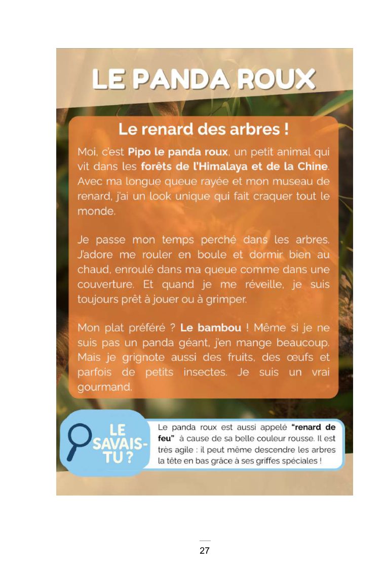 Mon Livre Animé des Animaux Rigolos — page intérieure 3